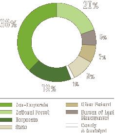 Forest Landownership